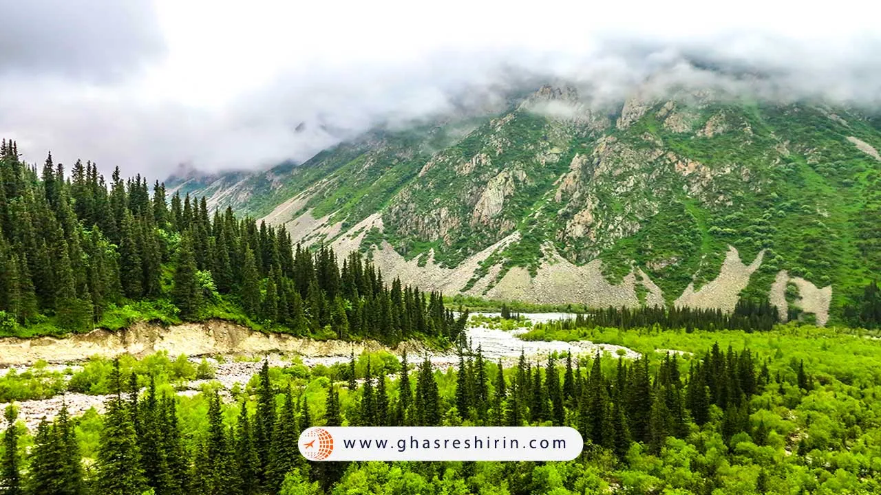 جنگل صنوبر تیانشان (Tianshan Spruce Forest)