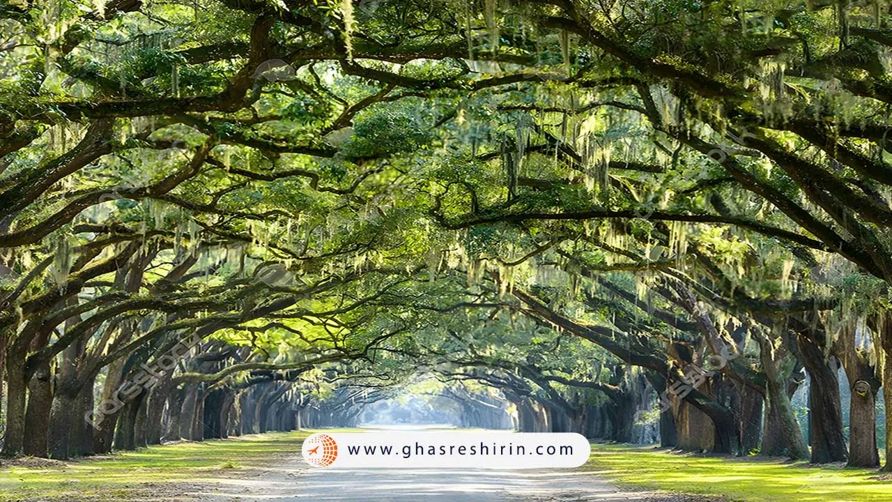 منطقه تاریخی ساوانا در جاذبه های دیدنی گرجستان (Savannah Historic District)