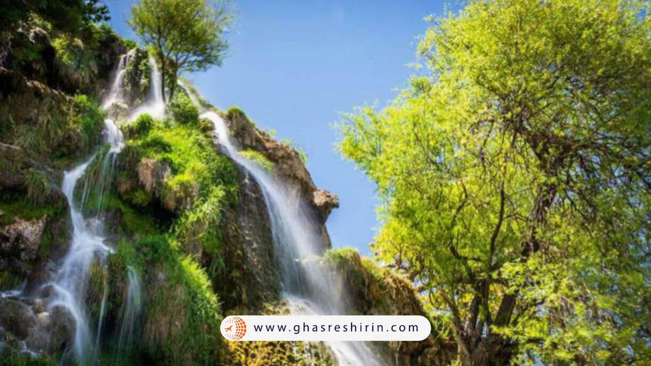 نیاسر کاشان