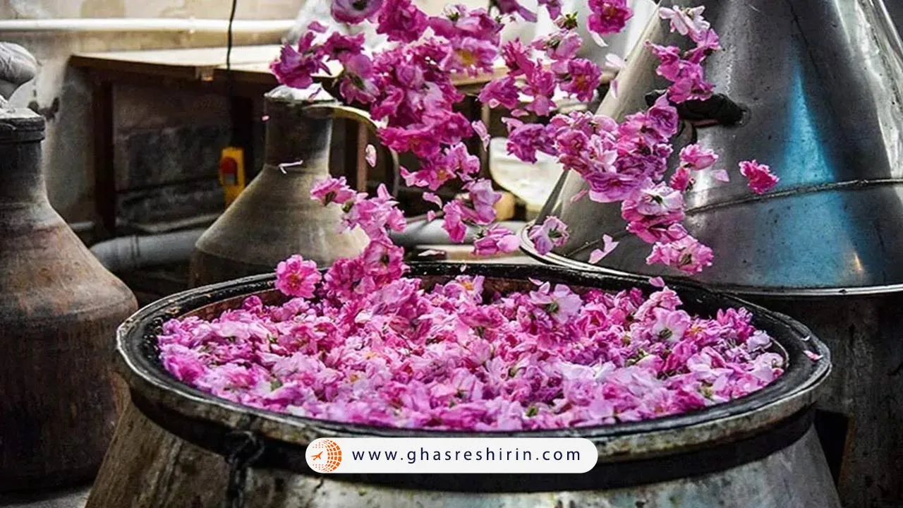 گلابگیری قمصر از بهترین جاذبه های گردشگری کاشان