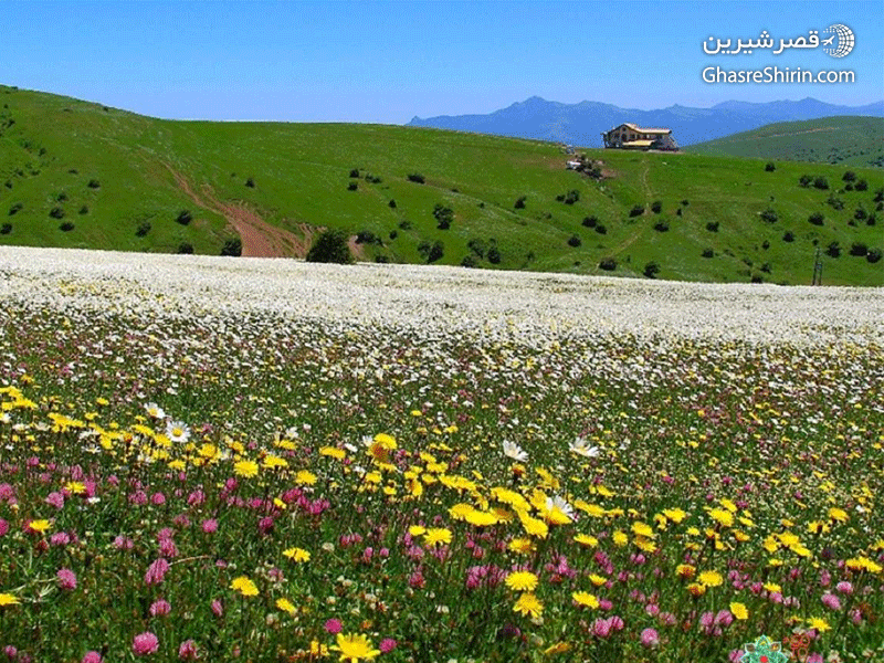 جنگل فاندوقلو جاذبه های گردشگری اردبیل