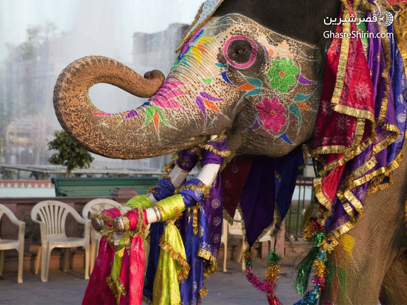 بهترین جاذبه های دیدنی آگرا