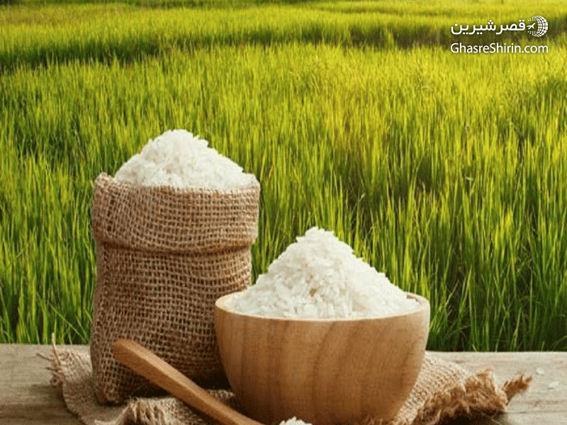 فرهنگ مردم محلی در تور مازندران