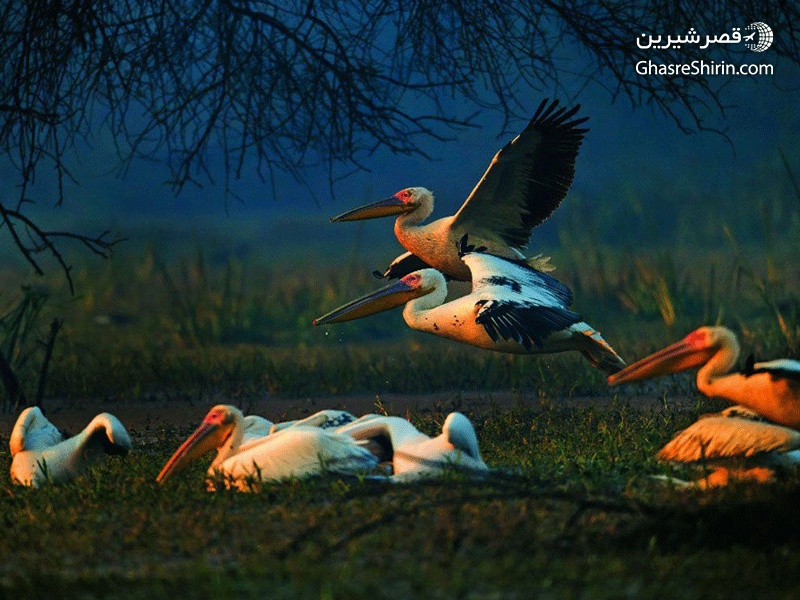 پارک ملی کلادو جاذبه های گردشگری آگرا