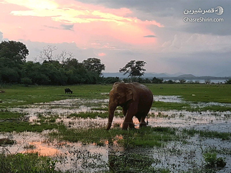 سفر به تور سریلانکا در سال 1400