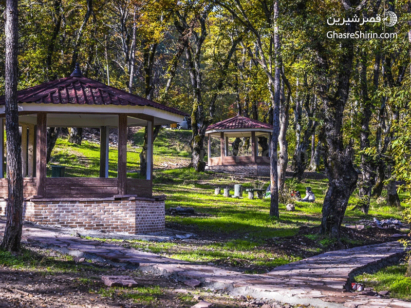 پارک جنگلی سی سنگان در تور مازندران