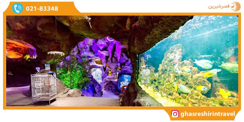 غار آکواریوم گنجنامه غار آکواریوم گنجنامه