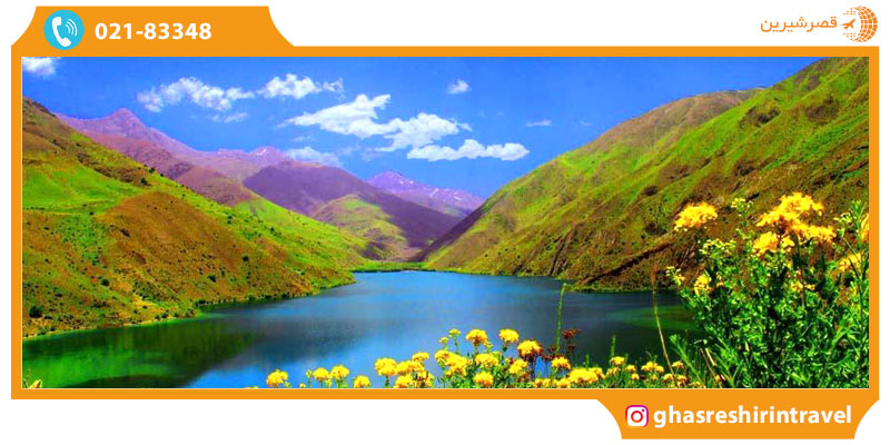 حیات وحش اشتران کوه حیات وحش اشتران کوه