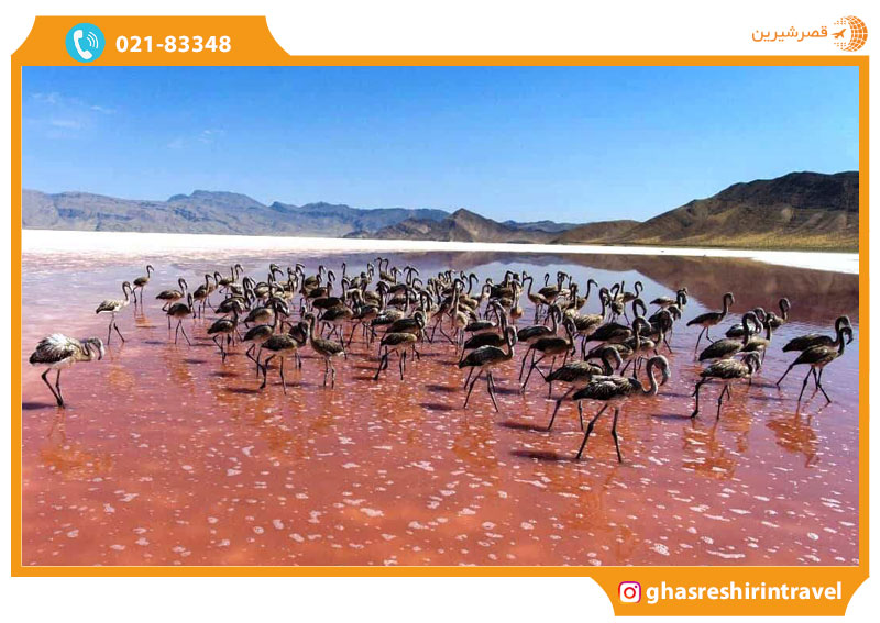 دریاچه پریشان