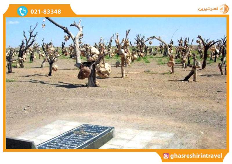 باغ درویش خان