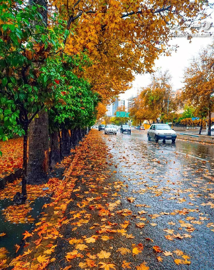 شیراز بلوار دانشجو