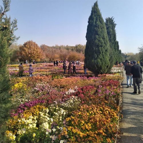 گشت و گذار در باغ گیاه‌شناسی ملی ایران با آژانس مسافرتی قصرشیرین