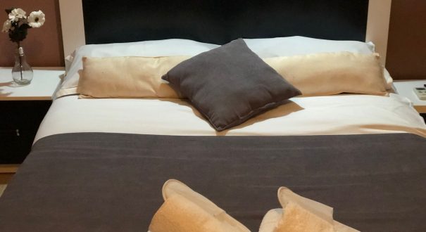 هتل پولو تفلیس (Hotel polo) هتل پولو تفلیس (Hotel polo)