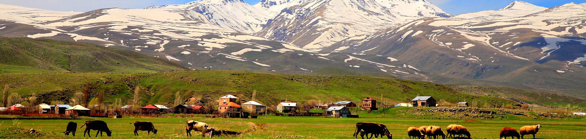 تور ارمنستان