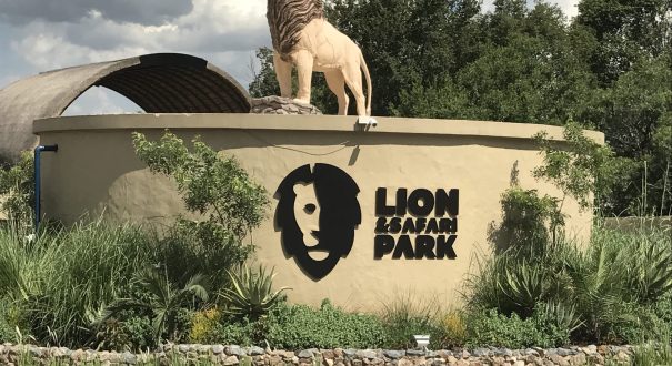 پارک شیر و سافاری