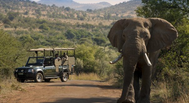 پارک ملی پیلانسبرگ