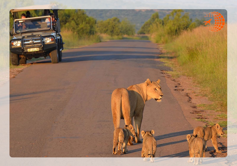 پارک ملی پیلانسبرگ | شهر سان سیتی