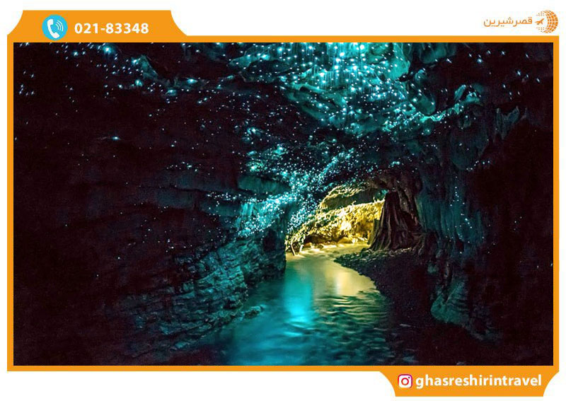 غارهای کرم شب تاب: یکی از عجیب ترین مکانهای دنیا در طبیعت نیوزلند