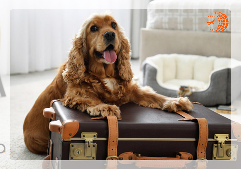 معرفی انواع هتل ها و اقامتگاه ها