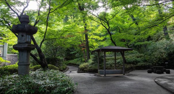 باغ هتل باغ هتل