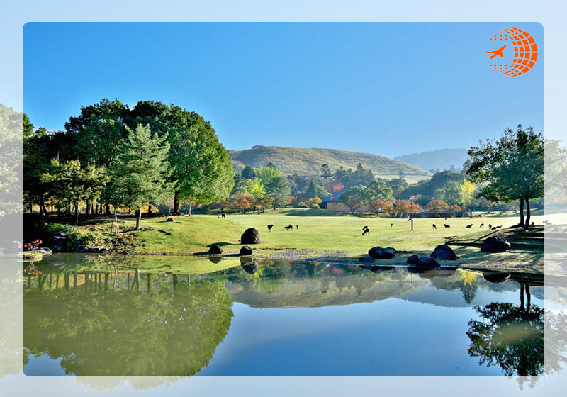 تاریخچه پارک نارا