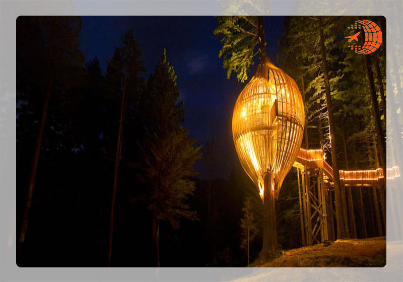 (Redwoods Treehouse) | عجیب ترین رستوران های دنیا