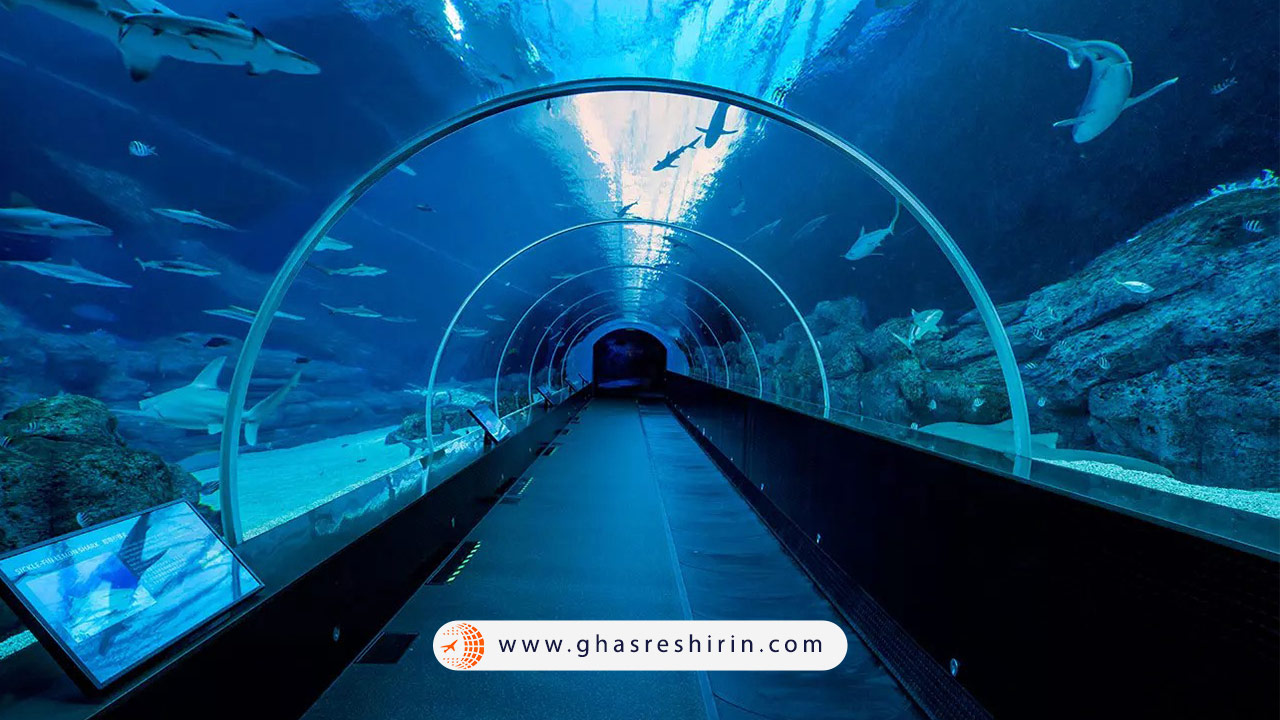 آکواریوم آکوا وگا (Aquarium Aquadome Ankara)