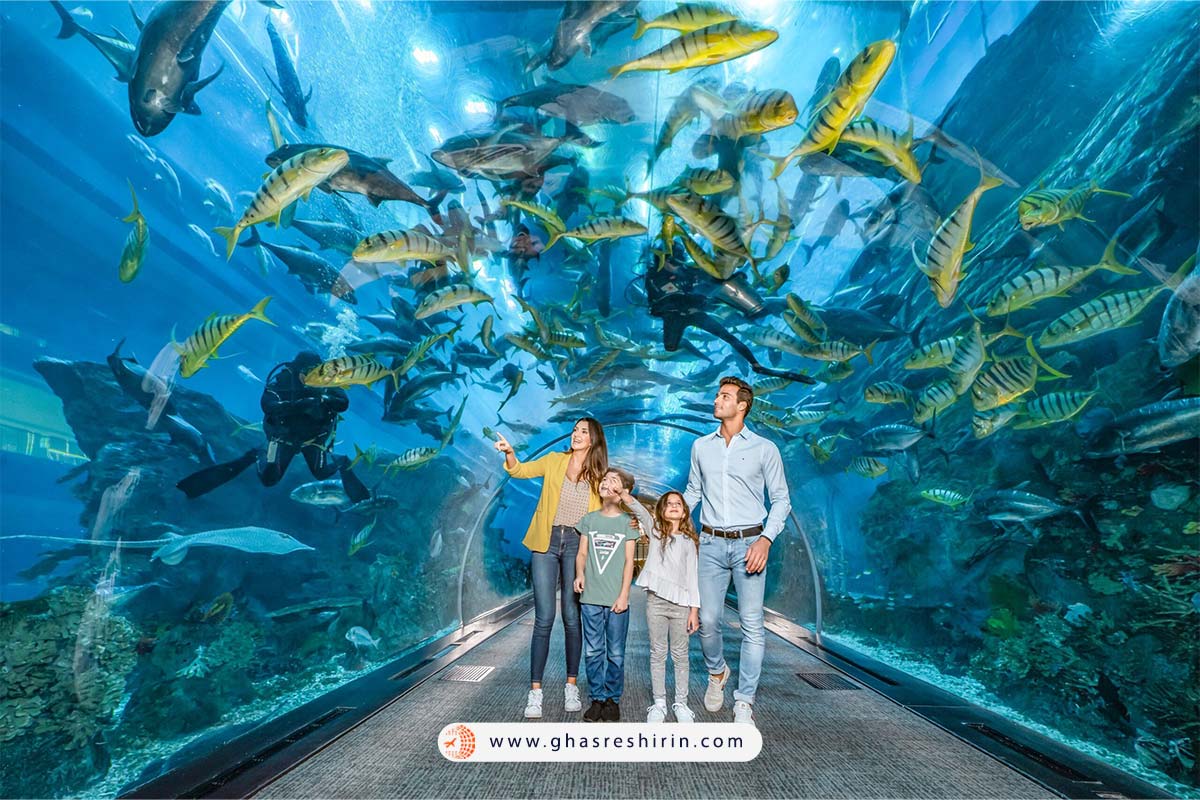 آکواریوم دبی