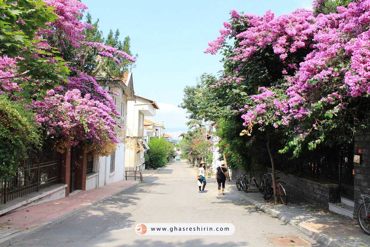 جزیره بویوک آدا