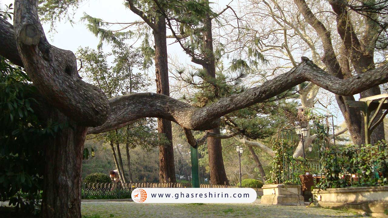 پارک ییلدیز (yildiz)