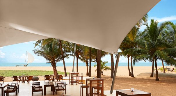 jj-beach-jetwing (8)