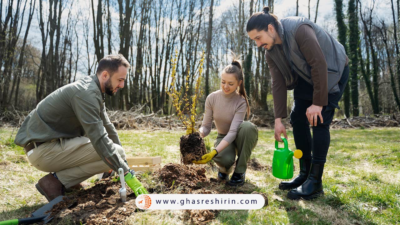 روز درختکاری در سایر کشورها