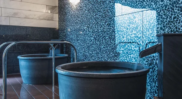 هتل اپا ریگوکو ایکی تاور توکیو (APA Ryogoku Eki Tower Tokyo) هتل اپا ریگوکو ایکی تاور توکیو (APA Ryogoku Eki Tower Tokyo)