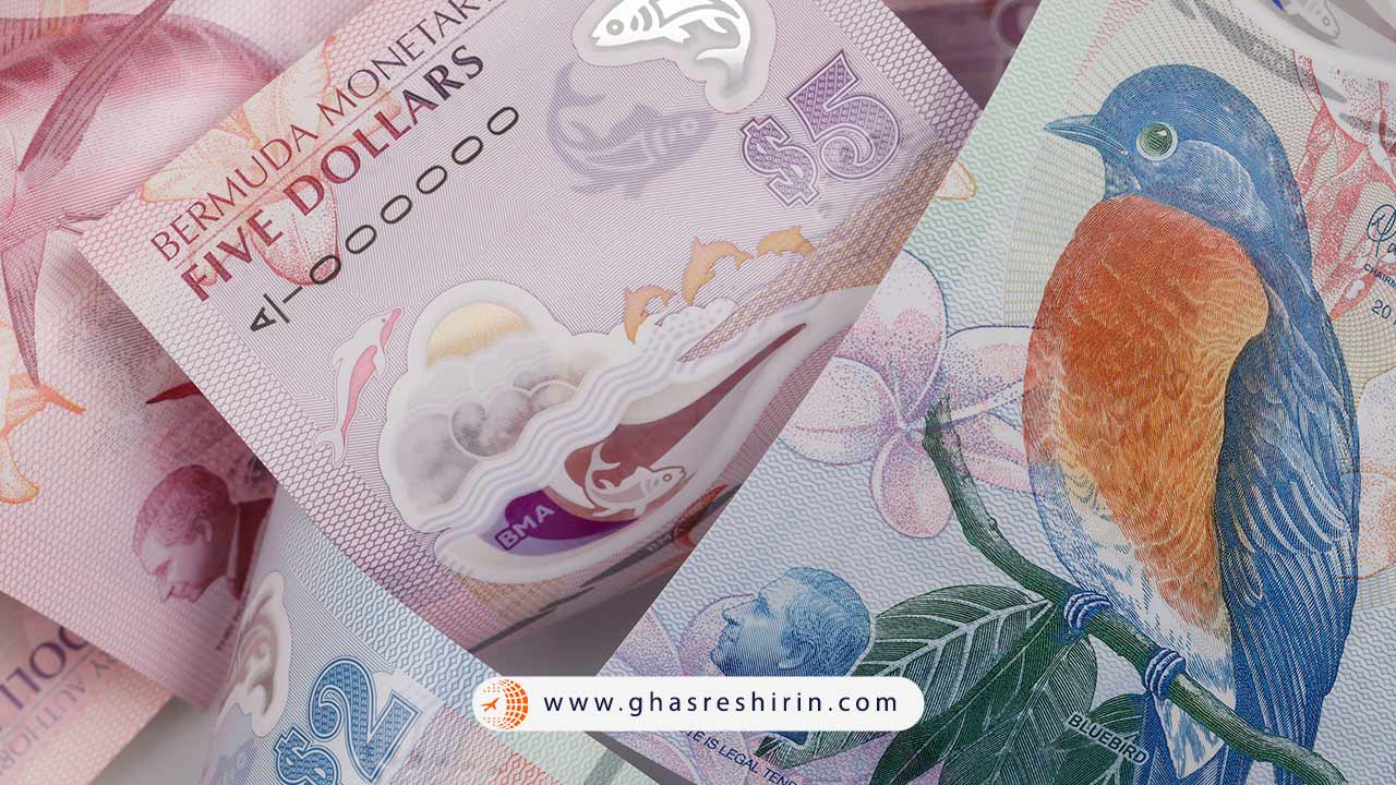 دلار برمودا | زیباترین اسکناس جهان