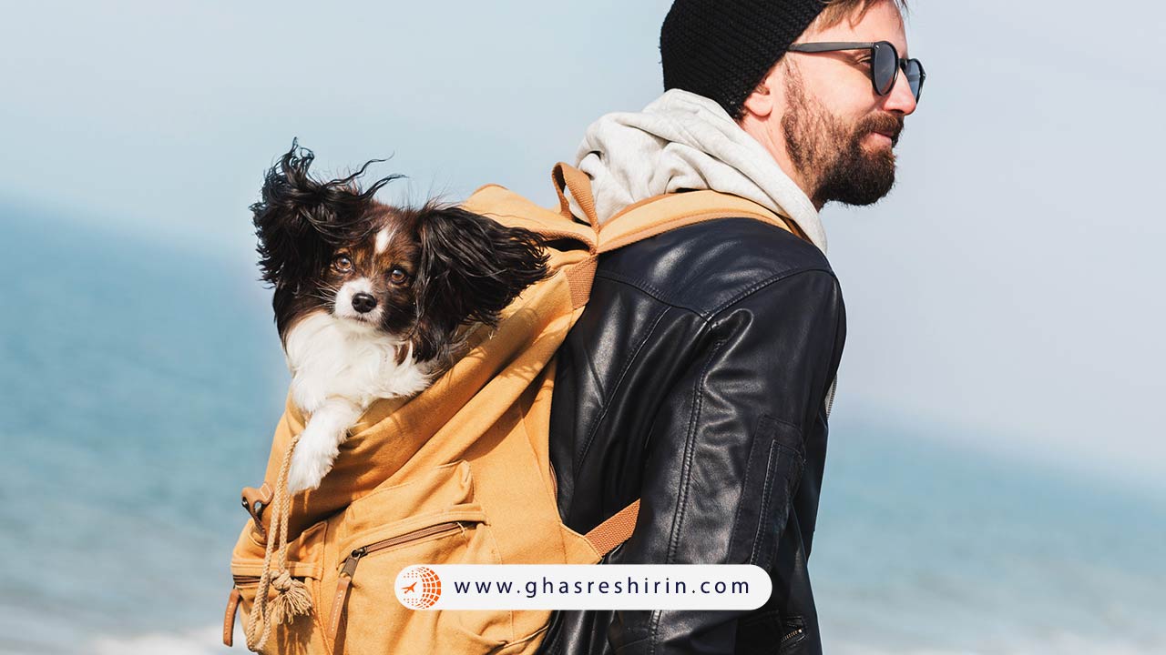 هزینه حمل حیوان با هواپیمایی ماهان