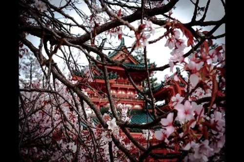 تور چین 29 اسفند ویژه نوروز 1405 (9 شب و 10 روز) تور چین 29 اسفند ویژه نوروز 1405 (9 شب و 10 روز)