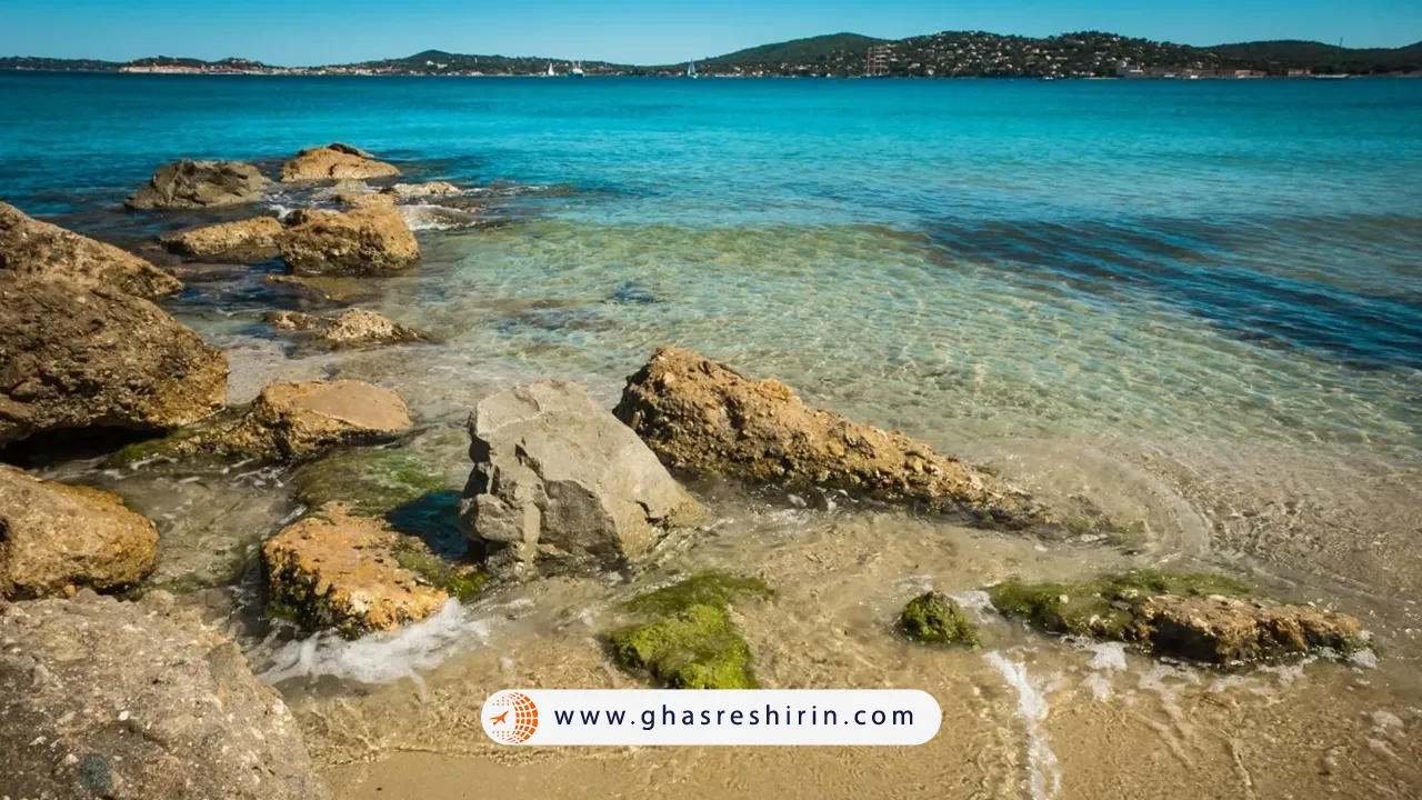 ساحل پالوما