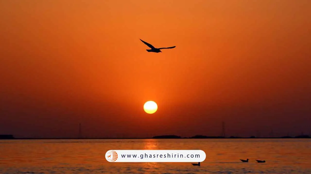 طبیعت خوزستان- تالاب بین المللی شادگان