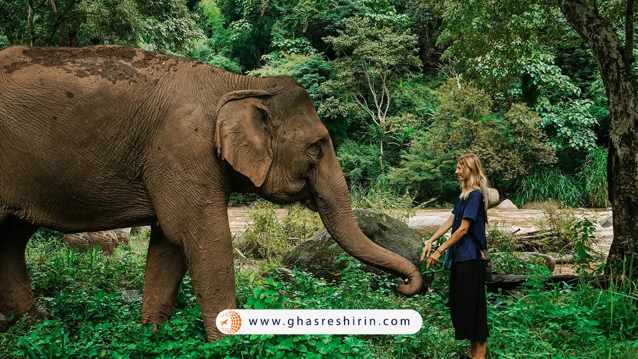 راههای-دسترسی-به-کمپ-مایسا