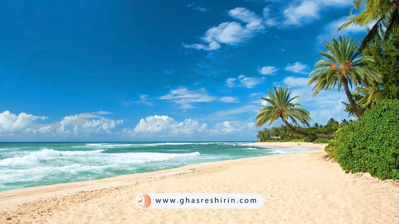 ساحل-شنی-اولگا