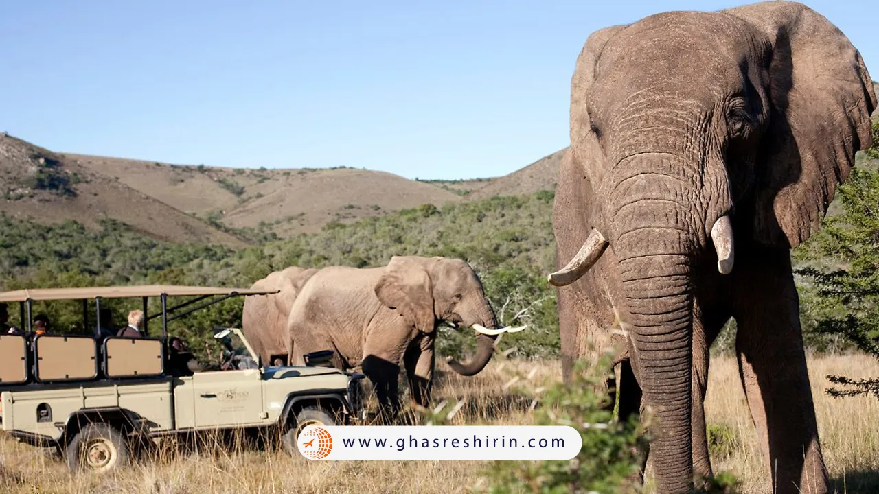 پارک-ملی-آدو-الفنت