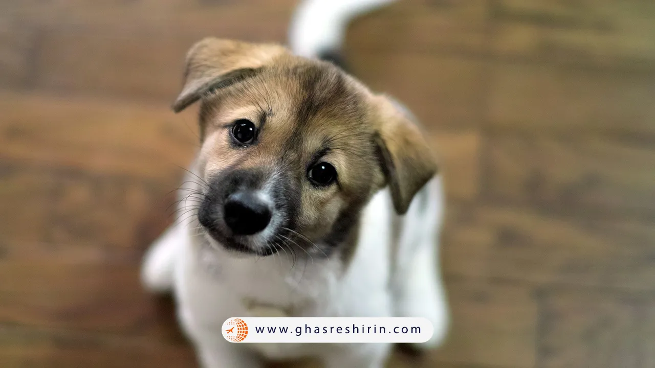 خرافات-کشور-فرانسه