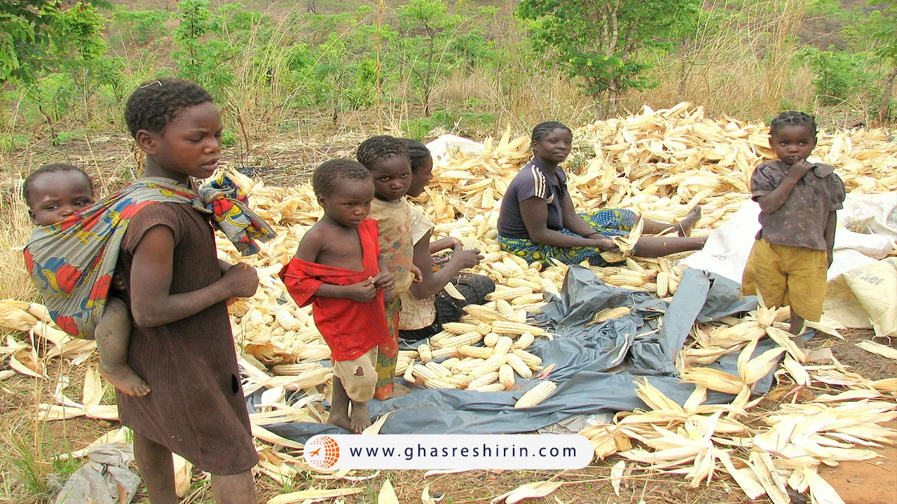 مردم-کشور-زامبیا