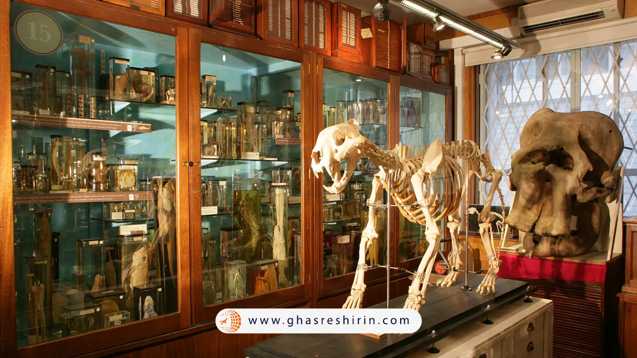 موزه-جانورشناسی-بارسلونا