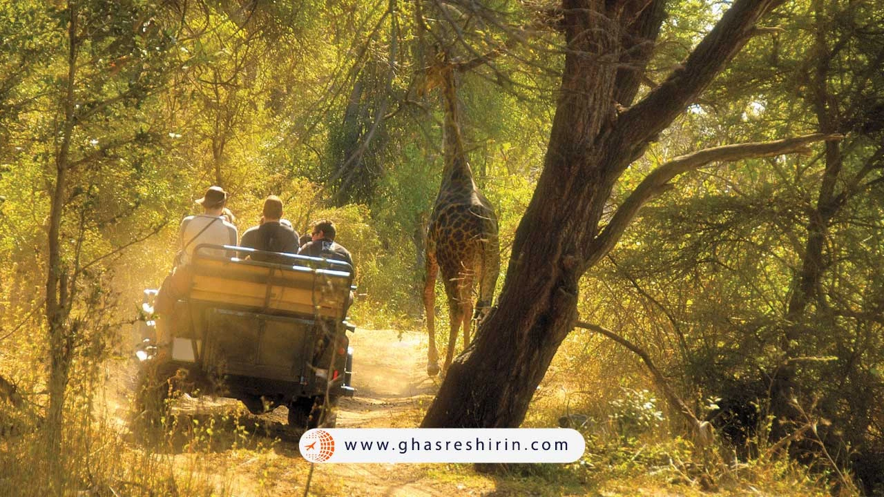 تور آفریقای جنوبی پاییز 1404
