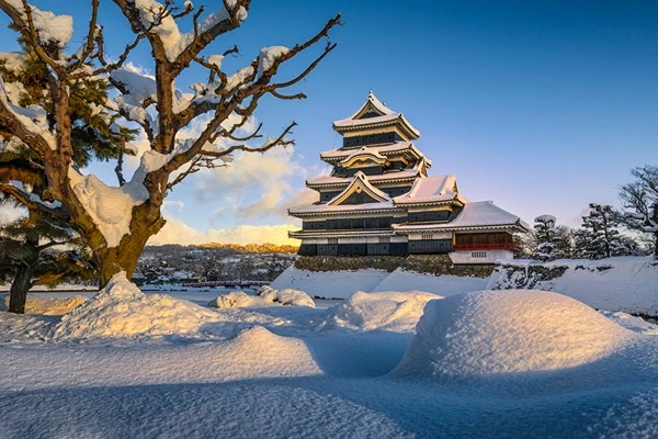 تور پکن – شانگهای