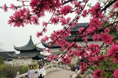 تور چین 2 فروردین ویژه نوروز 1405 (8 شب و 9 روز) تور چین 2 فروردین ویژه نوروز 1405 (8 شب و 9 روز)