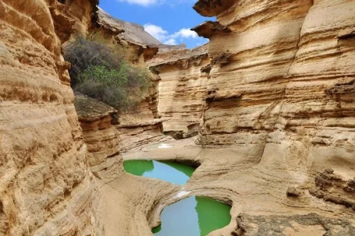 تور قشم ویژه زمستان 1404 تور قشم ویژه زمستان 1404