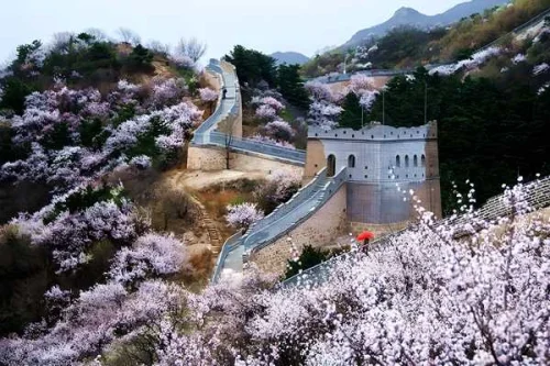 تور چین 3 فروردین ویژه نوروز 1405 (8 شب و 9 روز) تور چین 3 فروردین ویژه نوروز 1405 (8 شب و 9 روز)